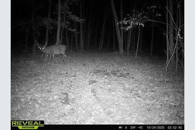 Tbd 270th Street, Deer Creek, MN 56527 - Photo 67