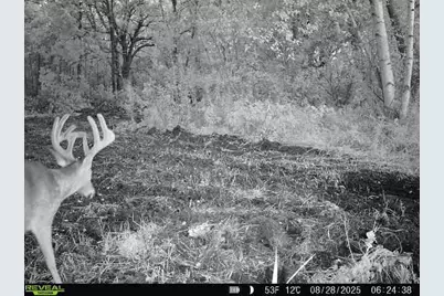 Tbd 270th Street, Deer Creek, MN 56527 - Photo 71