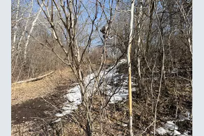 Tbd 270th Street, Deer Creek, MN 56527 - Photo 33