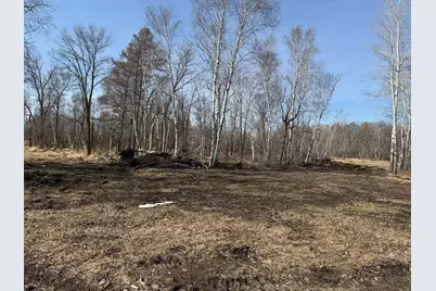 Tbd 270th Street, Deer Creek, MN 56527 - Photo 31