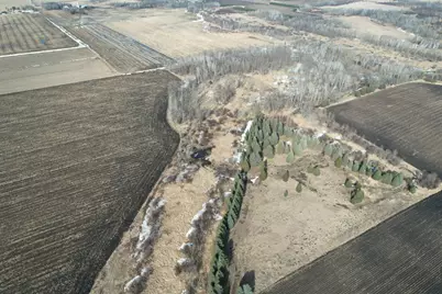 Tbd 270th Street, Deer Creek, MN 56527 - Photo 3