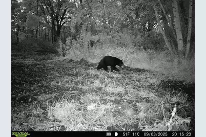 Tbd 270th Street, Deer Creek, MN 56527 - Photo 75