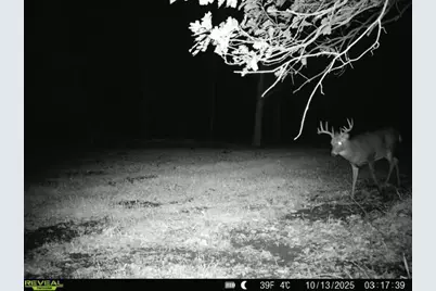 Tbd 270th Street, Deer Creek, MN 56527 - Photo 69