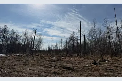 Tbd 270th Street, Deer Creek, MN 56527 - Photo 57