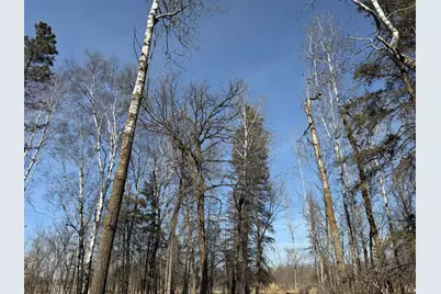 Tbd 270th Street, Deer Creek, MN 56527 - Photo 47