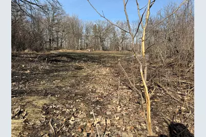 Tbd 270th Street, Deer Creek, MN 56527 - Photo 37