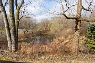 6493 Blaine Ave, Inver Grove Heights, MN 55076 - Photo 23