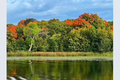 31819 Mallard Drive, Vergas, MN 56587 - Photo 37