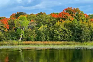 31819 Mallard Dr, Vergas, MN 56587 - Photo 37