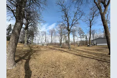 29603 374th Street, Ogema, MN 56569 - Photo 9