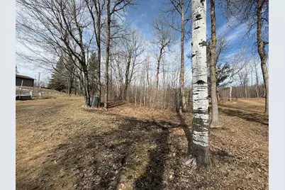 29603 374th Street, Ogema, MN 56569 - Photo 5