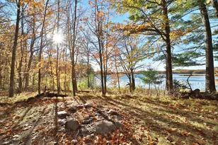 23319 Maple Shores Rd, Deerwood, MN 56444 - Photo 3