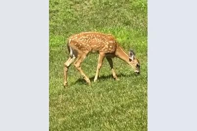 3642 Maple Drive S, Cambridge, MN 55008 - Photo 75