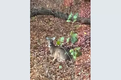 3642 Maple Drive S, Cambridge, MN 55008 - Photo 71