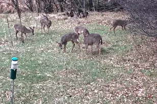 3642 Maple Drive S, Cambridge, MN 55008 - Photo 69