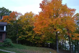 7524 Blue Water Beach Rd NW, Walker, MN 56484 - Photo 7