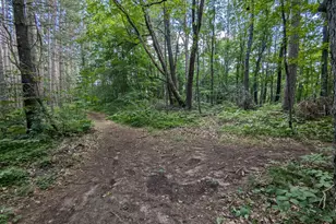 Lot 2 Fosmo, Webster, WI 54893 - Photo 1