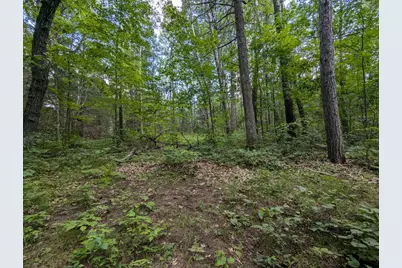 Lot 3 Fosmo, Webster, WI 54893 - Photo 1