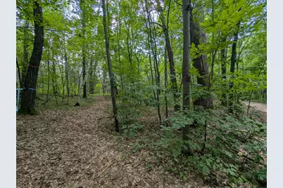 Lot 4 Fosmo, Webster, WI 54893 - Photo 1