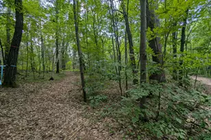 Lot 4 Fosmo, Webster, WI 54893 - Photo 1