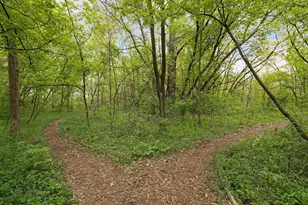 1141 Hyacinth Ave E, Saint Paul, MN 55106 - Photo 61