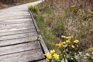 8421 156th Ln NW, Ramsey, MN 55303 - Photo 33