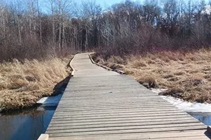 8421 156th Ln NW, Ramsey, MN 55303 - Photo 35