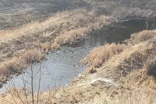 7129 Archer Trl, Inver Grove Heights, MN 55077 - Photo 49