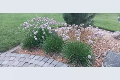 6075 Granite Drive NW, Rochester, MN 55901 - Photo 55