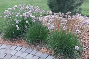 6075 Granite Dr NW, Rochester, MN 55901 - Photo 55