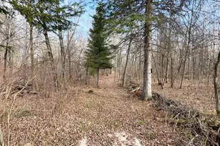 21280 State 92, Bagley, MN 56621 - Photo 91