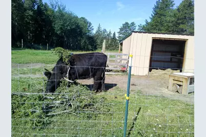 21280 State 92, Bagley, MN 56621 - Photo 107