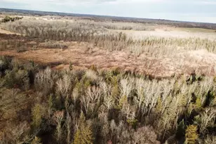 21280 State 92, Bagley, MN 56621 - Photo 15