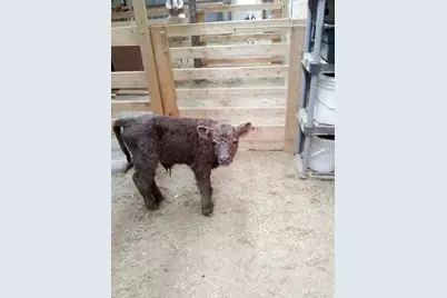 21280 State 92, Bagley, MN 56621 - Photo 105