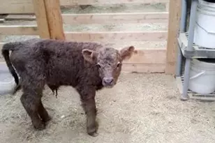 21280 State 92, Bagley, MN 56621 - Photo 105