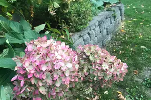 1612 Co Rd J, Hammond, WI 54015 - Photo 59