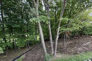 20383 Excelsior Blvd, Excelsior, MN 55331 - Photo 11