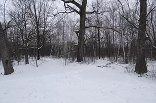 Xxx 150th St, Milltown, WI 54858 - Photo 1