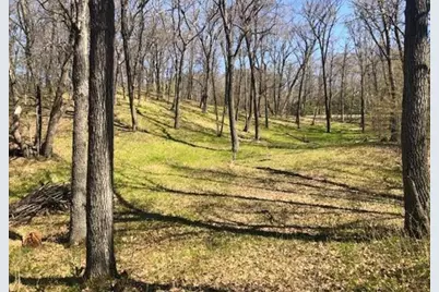 Tbd Hidden Oaks Drive NW, Alexandria, MN 56308 - Photo 5