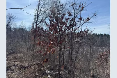 0 Hwy 53, Galesville, WI 54630 - Photo 7