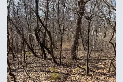 0 Hwy 53, Galesville, WI 54630 - Photo 11