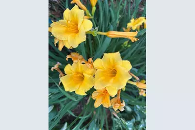 9447 Pilgrim Lane N, Maple Grove, MN 55369 - Photo 55