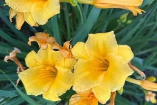 9447 Pilgrim Ln N, Maple Grove, MN 55369 - Photo 55