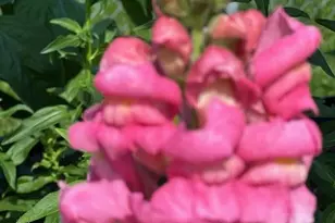 9447 Pilgrim Ln N, Maple Grove, MN 55369 - Photo 51