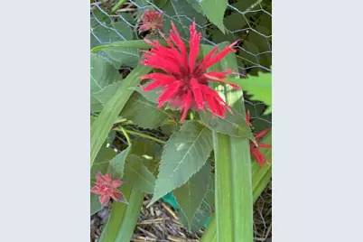 9447 Pilgrim Lane N, Maple Grove, MN 55369 - Photo 53