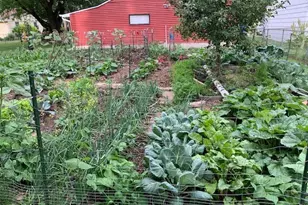 9447 Pilgrim Ln N, Maple Grove, MN 55369 - Photo 61