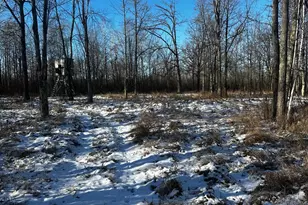 66605 Norway Spruce Rd, Finlayson, MN 55735 - Photo 27