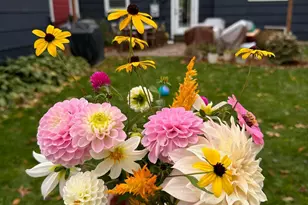 3533 Zinran Ave S, Saint Louis Park, MN 55426 - Photo 35