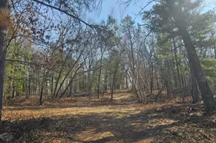 1894 S Lost Lake Rd, Danbury, WI 54830 - Photo 27