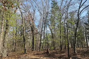 1894 S Lost Lake Rd, Danbury, WI 54830 - Photo 29